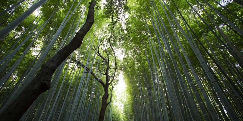 服务注册基础知识介绍：你需要知道的一切